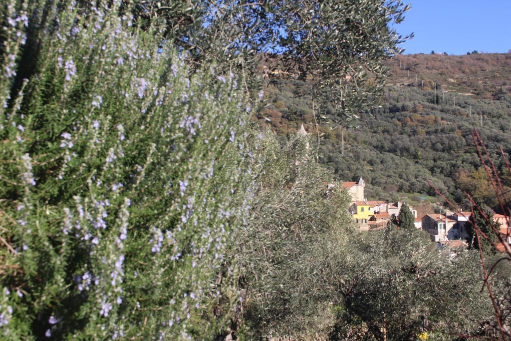 Montegrazie Apartment Imperia Εξωτερικό φωτογραφία